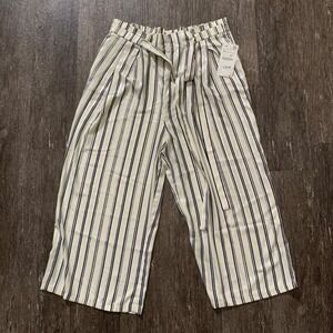 Zara Striped Wide Leg Cropped Pants Metallic Silver Navy Blue Elastic Waist XL